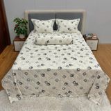 Bộ Drap Cotton Đũi Angel AG22