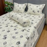 Bộ Drap Cotton Đũi Angel AG22