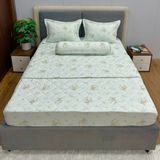 Bộ Drap Cotton Lụa Red Rose RR12