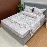 Bộ Drap Victoria TLV59