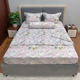 Bộ Drap Victoria TLV59