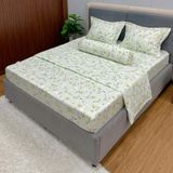 Bộ Drap Cotton Đũi Angel AG01