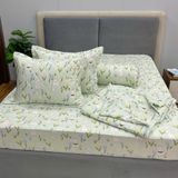Bộ Drap Cotton Đũi Angel AG01