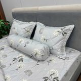 Bộ Drap Cotton Đũi Angel AG25