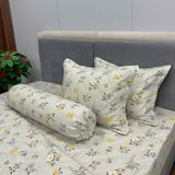 Bộ Drap Cotton Đũi Angel AG24