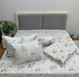 Bộ Drap Cotton Đũi Angel AG25