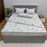 Bộ Drap Cotton Đũi Angel AG25