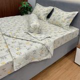 Bộ Drap Cotton Đũi Angel AG24