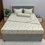Bộ Drap Cotton Đũi Angel AG24
