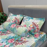 Bộ Drap White Swan TLC71