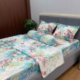 Bộ Drap White Swan TLC71