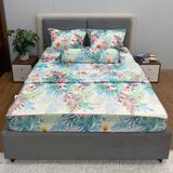 Bộ Drap White Swan TLC71