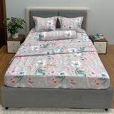 Bộ Drap Victoria TLV75
