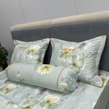 Bộ Drap White Swan TLC554