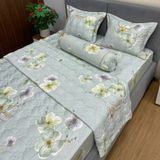 Bộ Drap White Swan TLC554