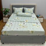Bộ Drap White Swan TLC554