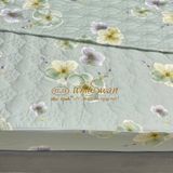 Bộ Drap White Swan TLC554