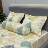 Bộ Drap White Swan TLC556