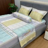 Bộ Drap White Swan TLC555