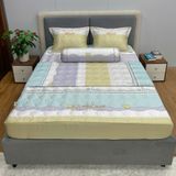 Bộ Drap White Swan TLC555