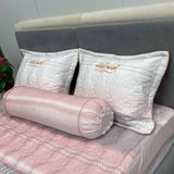 Bộ Drap White Swan TLC558