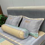 Bộ Drap White Swan TLC559
