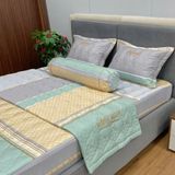 Bộ Drap White Swan TLC559
