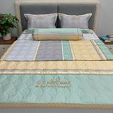 Bộ Drap White Swan TLC559