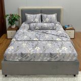 Bộ Drap Forever Không Chần Gòn Họa Tiết FB38