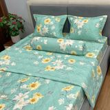 Bộ Drap Forever Chần Gòn FBC13