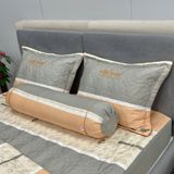 Bộ Drap White Swan TLC557