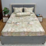 Bộ Drap White Swan TLC550