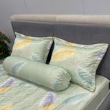 Bộ Drap Victoria TLV68