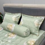 Bộ Drap Victoria TLV100