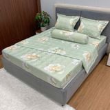 Bộ Drap Victoria TLV100