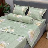 Bộ Drap Victoria TLV100