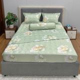 Bộ Drap Victoria TLV100