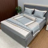 Bộ Drap Victoria TLV99