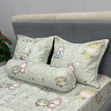 Bộ Drap Victoria TLV93
