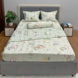 Bộ Drap Victoria TLV93