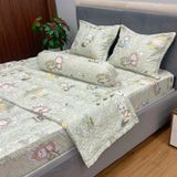Bộ Drap Victoria TLV93