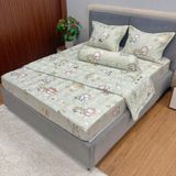 Bộ Drap Victoria TLV93