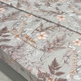 Bộ Drap Victoria TLV103