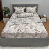 Bộ Drap Victoria TLV103