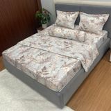 Bộ Drap Victoria TLV103