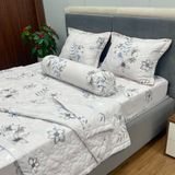 Bộ Drap Victoria TLV102