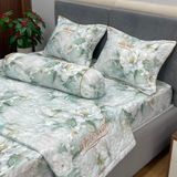 Bộ Drap White Swan TLC551