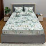 Bộ Drap White Swan TLC551