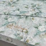 Bộ Drap White Swan TLC551