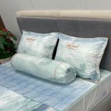 Bộ Drap White Swan TLC549